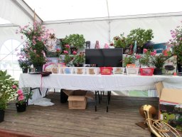 Schützenfest 2015